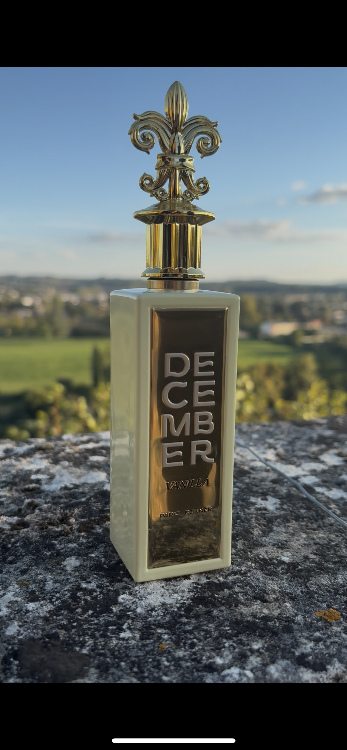 DECEMBER PARIS CORNER